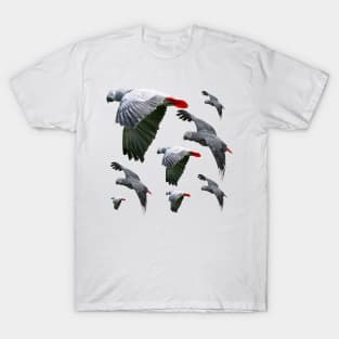 African Grey Parrots Flying Free T-Shirt